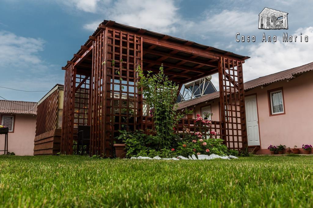 Casa Ana Maria Villa Vama Veche Exterior photo