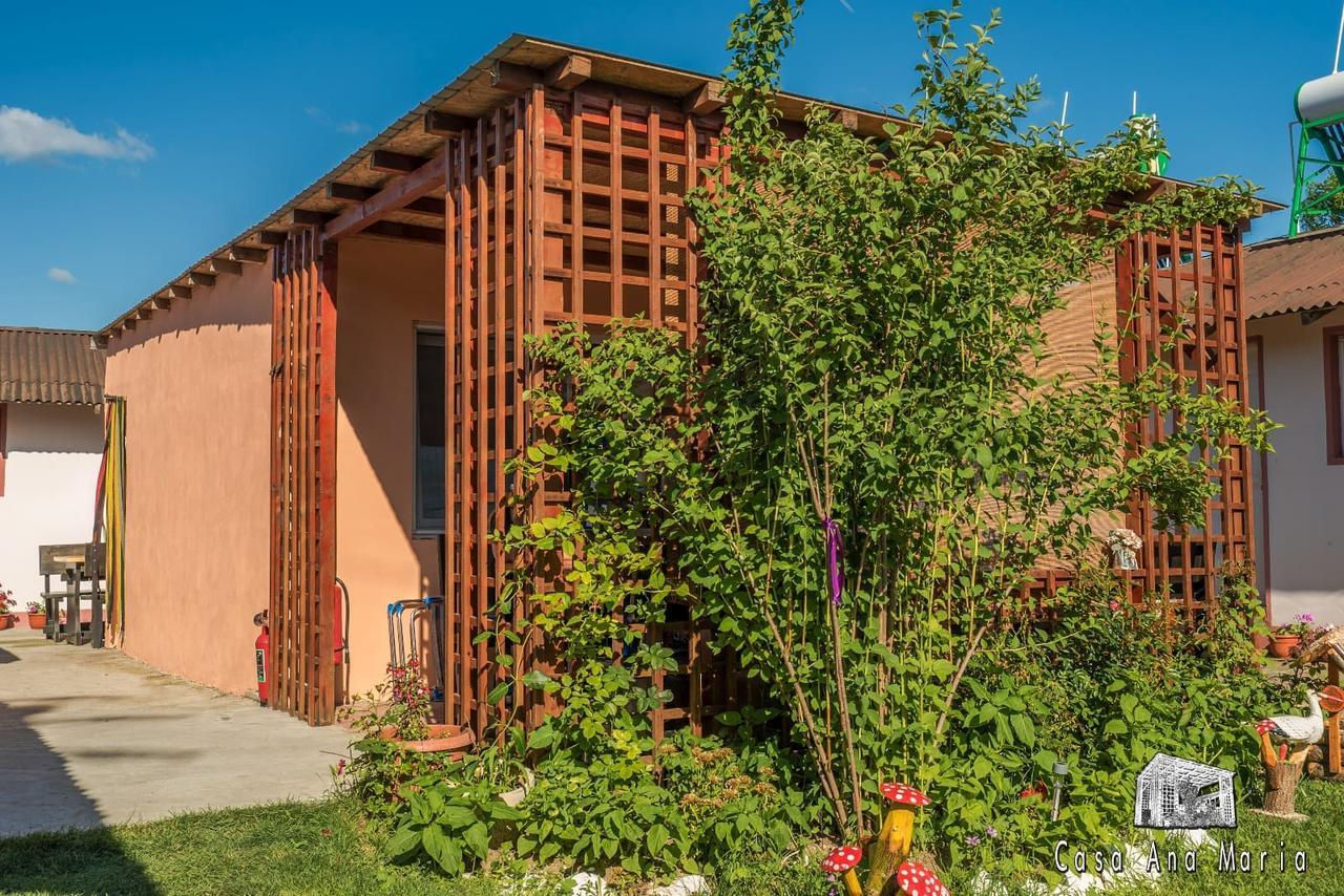 Casa Ana Maria Villa Vama Veche Exterior photo