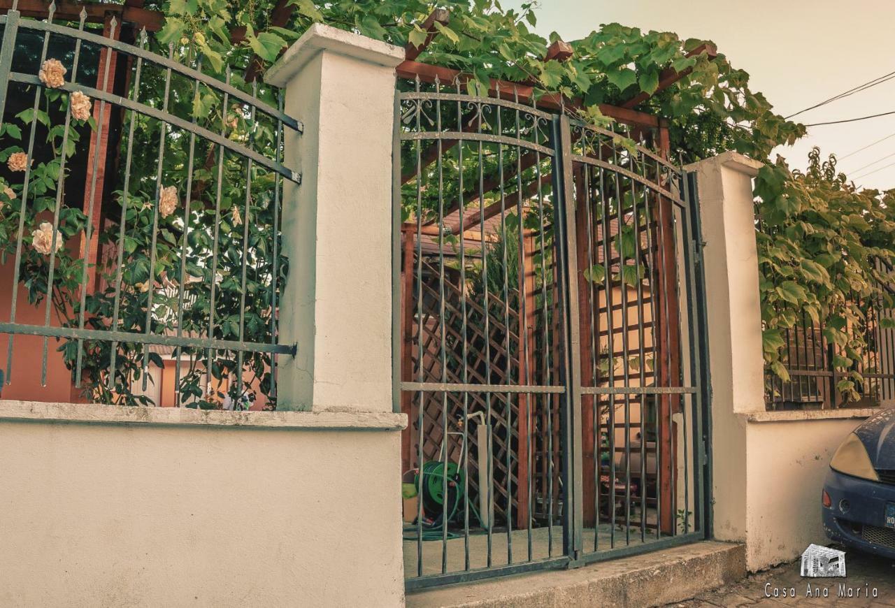 Casa Ana Maria Villa Vama Veche Exterior photo